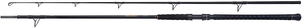 SHIMANO Beastmaster AX Catfish, 0-400g, 9,84ft, SBMCAXB300, 3m, 2 Teile, Wels Angelrute, Moderate Fast
